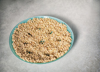 Germination of green buckwheat for the preparation of a vitamin cocktail. Soaked buckwheat is laid out in a plate.