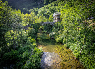 Parco Nazionale delle Foreste Casentinesi, Italia