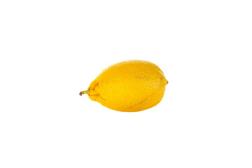 One fresh yellow lemon isolated on white background.