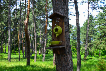 A bird feeder in the form of a teapot and a cup .the feeder is installed on a tree in the park. Wild bird care, home and food. Bird's nest in spring