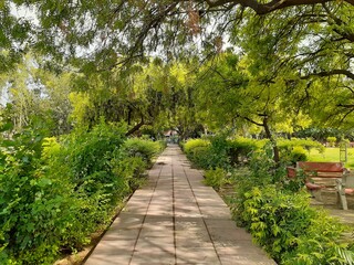 path in the park
