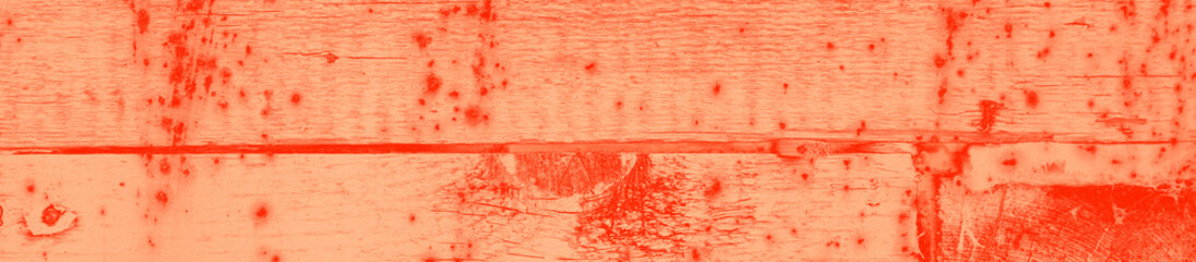 abstract live coral color background for design