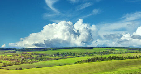 green agricultural field of sprouted young wheat on private agricultural land with trees on the horizon
