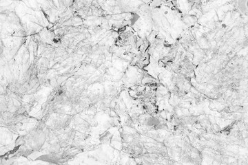 Obraz premium White paper ripped torn background blank creased crumpled posters placard grunge textures surface backdrop empty space for text