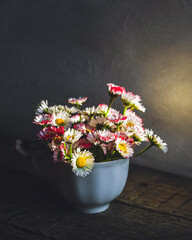 Bouquet of common daisies in tea cut in glowing early morning light on wooden table