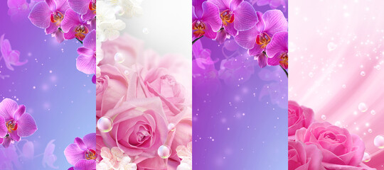 Set pink orchids flowers and roses with sparkle and bubbles. Collection floral background for online greeting or invite. E-card phone for virtual distance, socially safe congratulations.