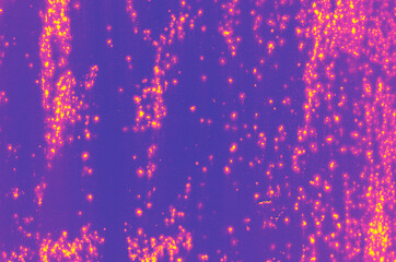 abstract pink, yellow, violet, purple and blue colors background for design