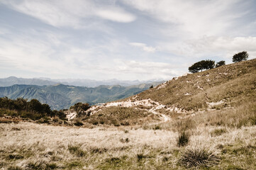Stony path on a yellow meadow in South Tyrol 