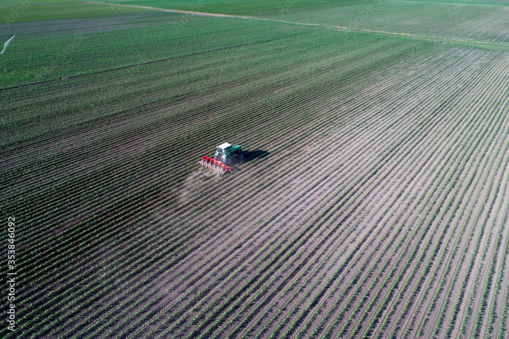 Poster Tractor harrowing corn field