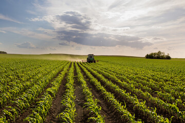 Fototapeta na wymiar Tractor harrowing corn field