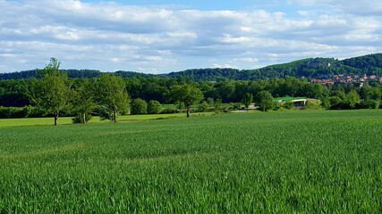 nördliches Harzvorland im Frühling 