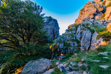 Vistas durante la subida al monte Adarra, arboles, ovejas etc.