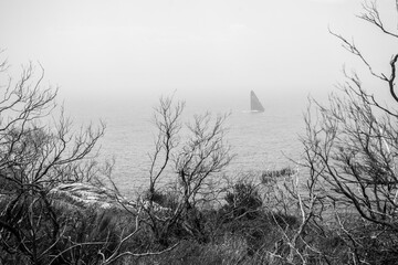 Obraz premium Sailing in the fog