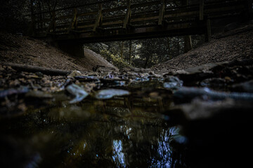water reflection in the river