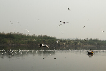 Yamuna ghat