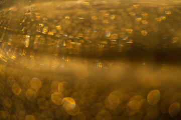 Abstract golden color background