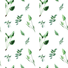 Seamless floral pattern with watercolor drawing herbs and flowers, artistic painting natural background