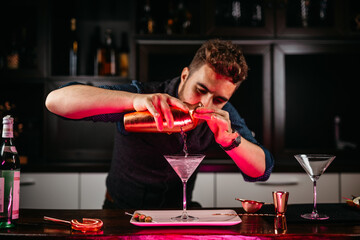 Professional bartender preparing martini with olives at bar counter.  Dry vodka martini, gin tonic...