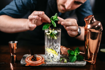 Professional barman preparing mojito cocktail at bar - obrazy, fototapety, plakaty