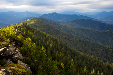 Fototapeta na wymiar Rocky mountain range with forest covered slopes against a rainy sky