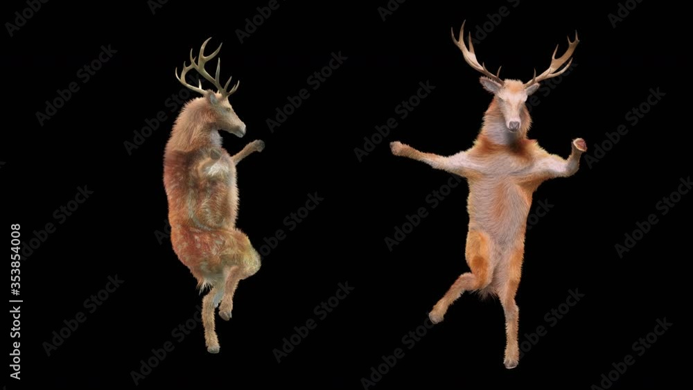 Aufkleber deer dance cg fur 3d rendering animal realistic cgi vfx animation loop composition 3d mapping cartoo