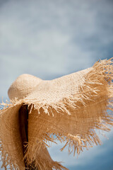 Holiday hat