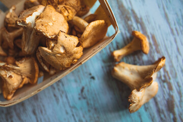 Yellow chanterelle (cantharellus cibarius) on rustic background. Chanterelle mushrooms, Raw wild chanterelles mushroom on rustic background close-up. Organic Fresh chanterelle on a table