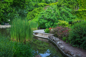 Fototapeta na wymiar View of beautiful spring garden, pond and reed, growing in water, cliff, covered with green grass, moss and bushes.