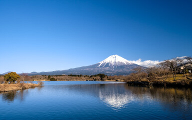 View of Mount Fuji across Lake Tanuki, which is a popular camping site in Shizuoka, Japan