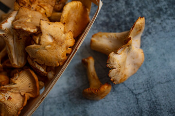 Chanterelle mushrooms, Raw wild chanterelles mushroom on rustic background close-up. Organic Fresh chanterelle on a table. Mushrooms chanterelle on table. Raw wild mushrooms chanterelles. 