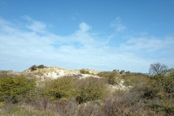 Dunes in nature reserve Meijendel in Wassenaar in the Netherlands.