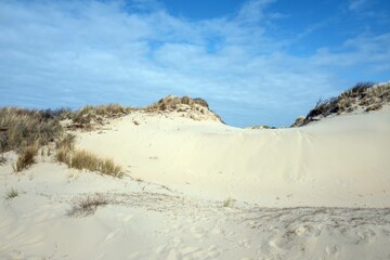 Fototapeta na wymiar Dunes in nature reserve Meijendel in Wassenaar in the Netherlands.