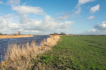 Fototapeta na wymiar Pasture in the Brekkenpolder by Lemmer in Friesland, Netherlands.