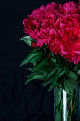 Obraz premium bouquet of peonies in a vase on a black background