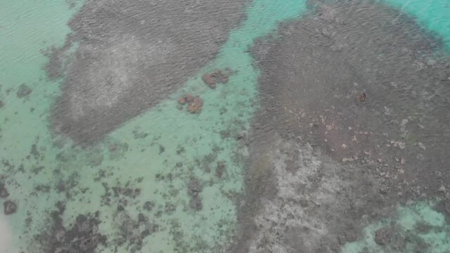 beautiful beach on the central java