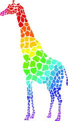 Obraz premium Giraffe colorful rainbow vector illustration