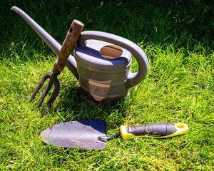 Fototapeta premium gardening tools on grass