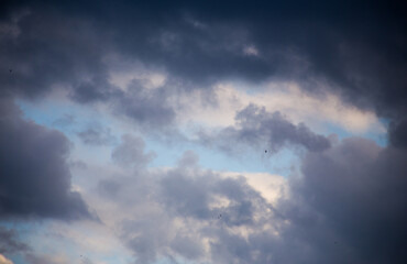 Obraz premium Fluffy clouds cover the summer blue sky