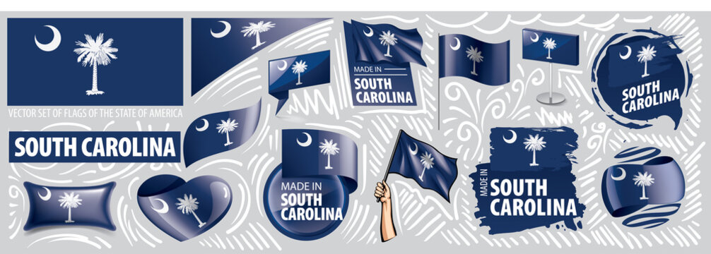 Vector set of flags of the American state of South Carolina in different designs