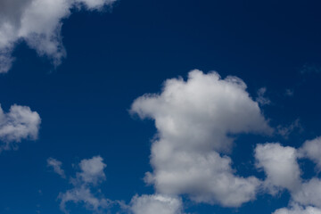 Obraz premium Fluffy clouds cover the summer blue sky