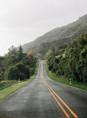 New Zealand coastline