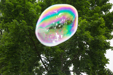 Soap bubble on wood background