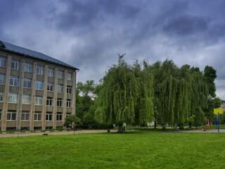 the house in the park