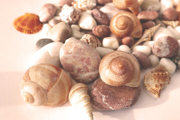 Seashells on the beach close-up, vacation memories. Background for postcards, summer concept.