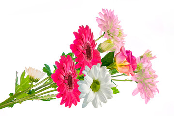 Colorful vibrant flowers of chrysanthemum, gerbera, roses isolated on a white background.