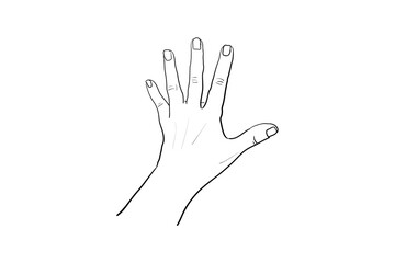 Hand gesture Vector sketch. Body language concept. Hand sign STOP - interactive communication set. Hand in different positions. Arm gestures for showing and pointing, holding and representing