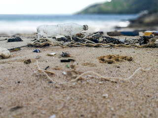 Pollutants and plastic garbages on the beach