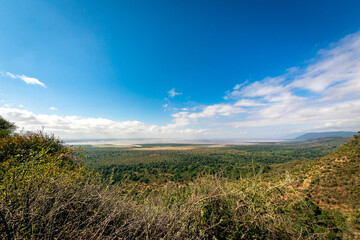 Fototapeta na wymiar 眼下に広がるタンザニアの原風景、広大な森と快晴の青空