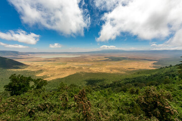 Fototapeta na wymiar 展望台から眺める、タンザニア・ンゴロンゴロの壮大なクレーターと青空