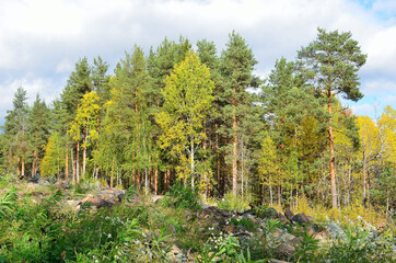 Fototapeta na wymiar Autumn forest, Karelia, Russia